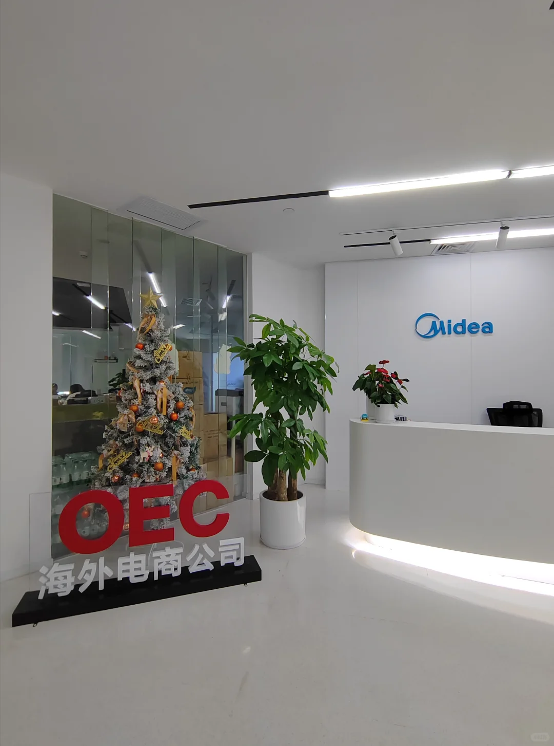 美的跨境电商实习面经|已offer!!!