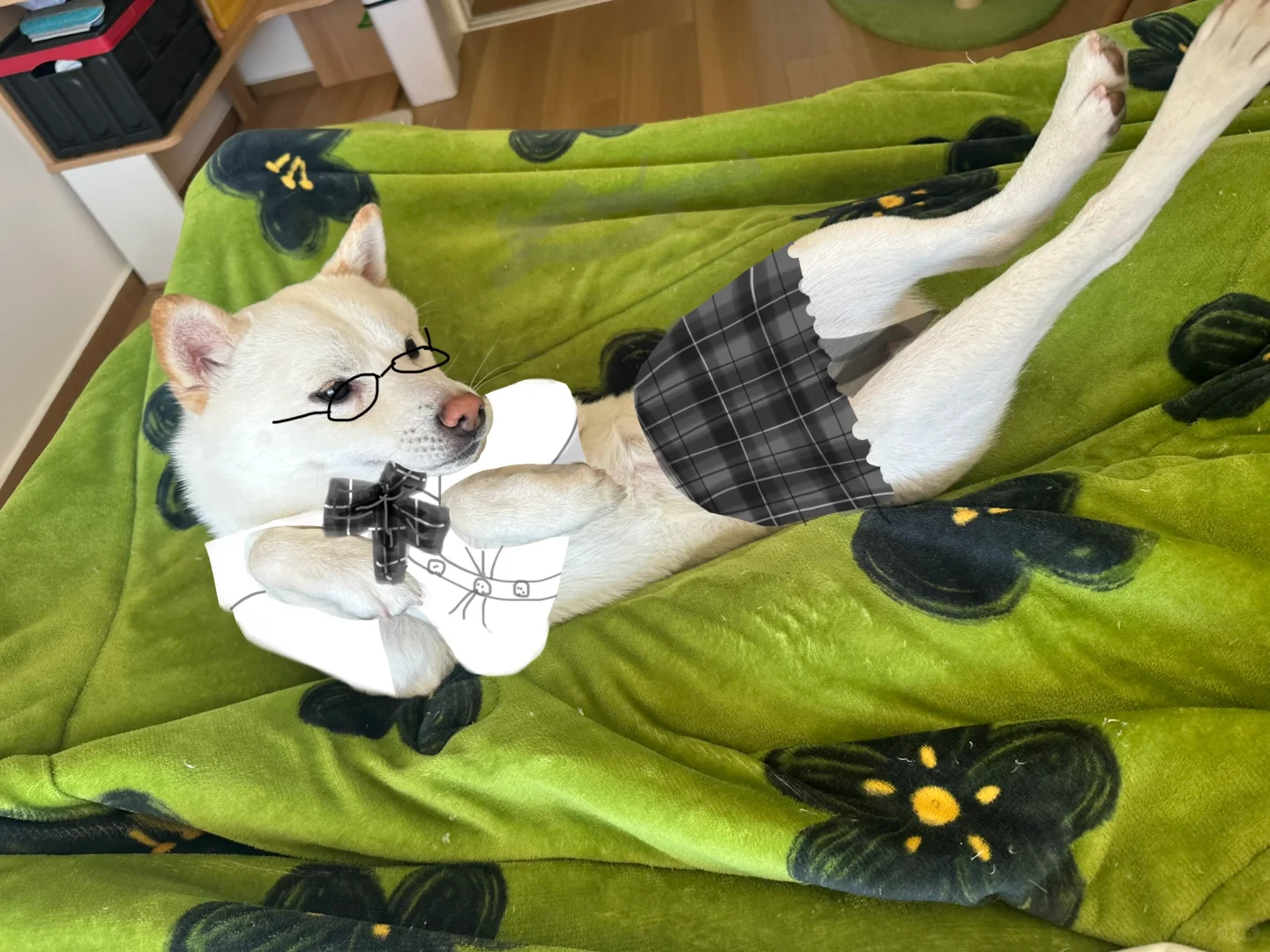 震惊！竟然有人对小狗做出这样的事