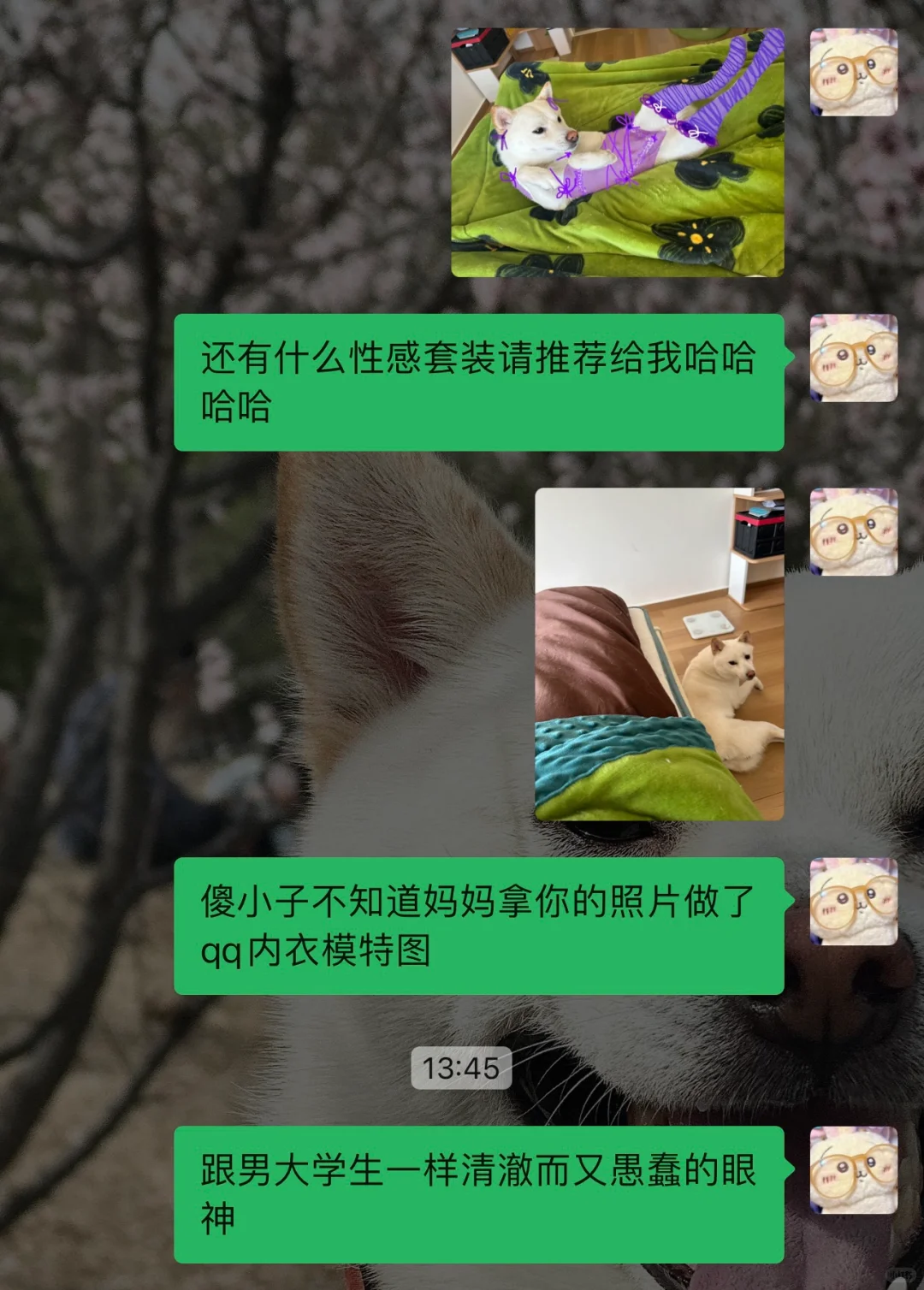 震惊！竟然有人对小狗做出这样的事