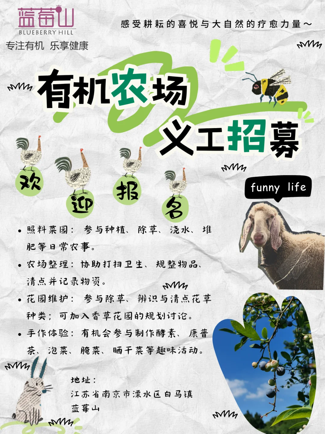 有机农场义工招募 | 共度田园时光