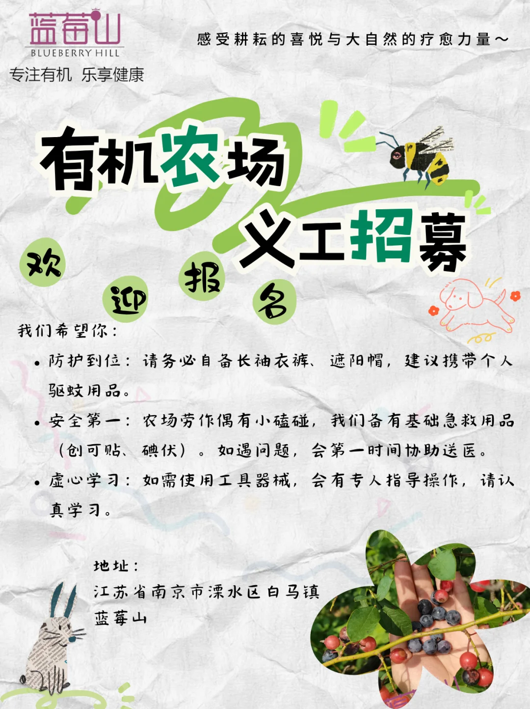 有机农场义工招募 | 共度田园时光