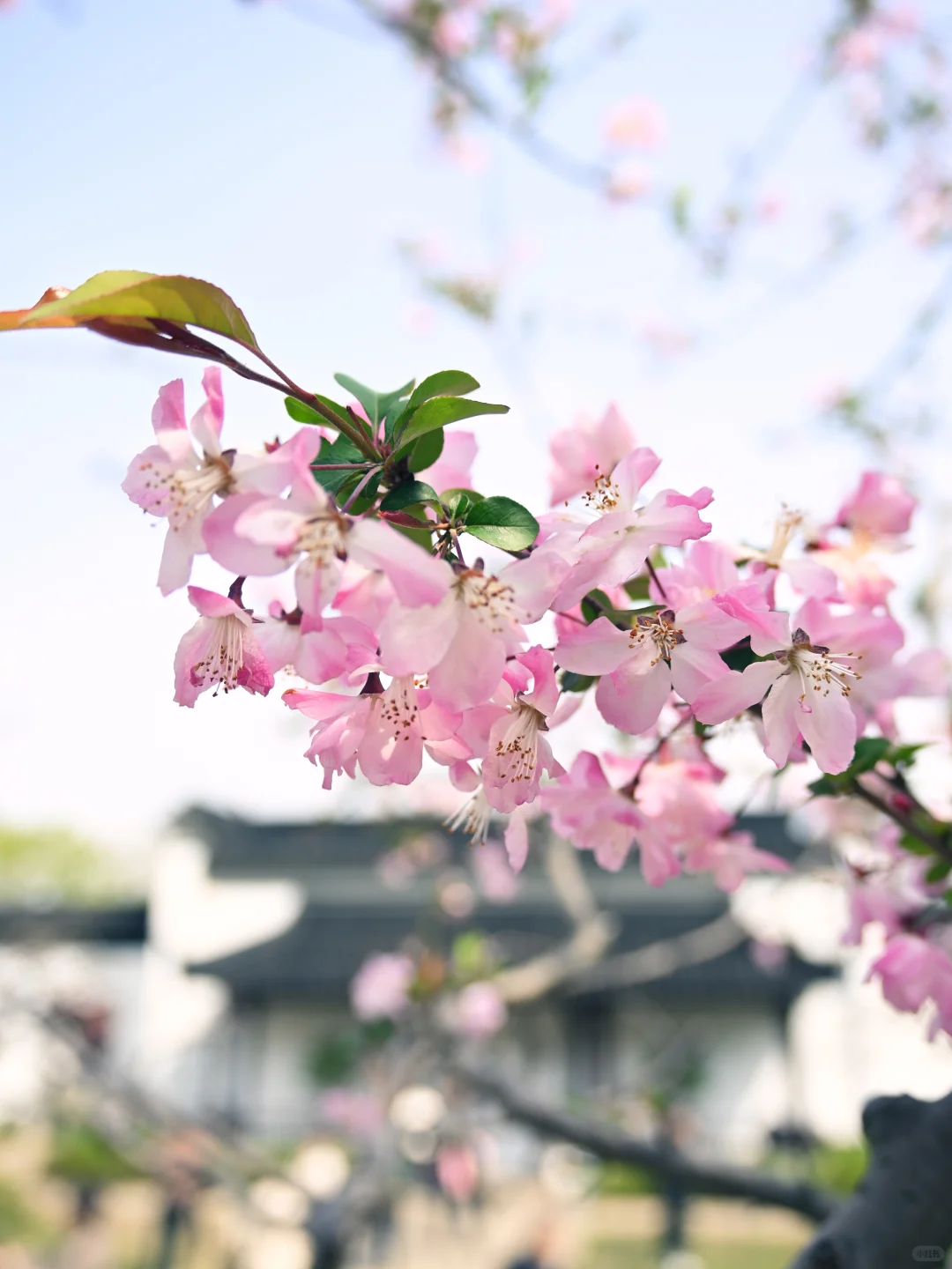 苏州找互勉模特