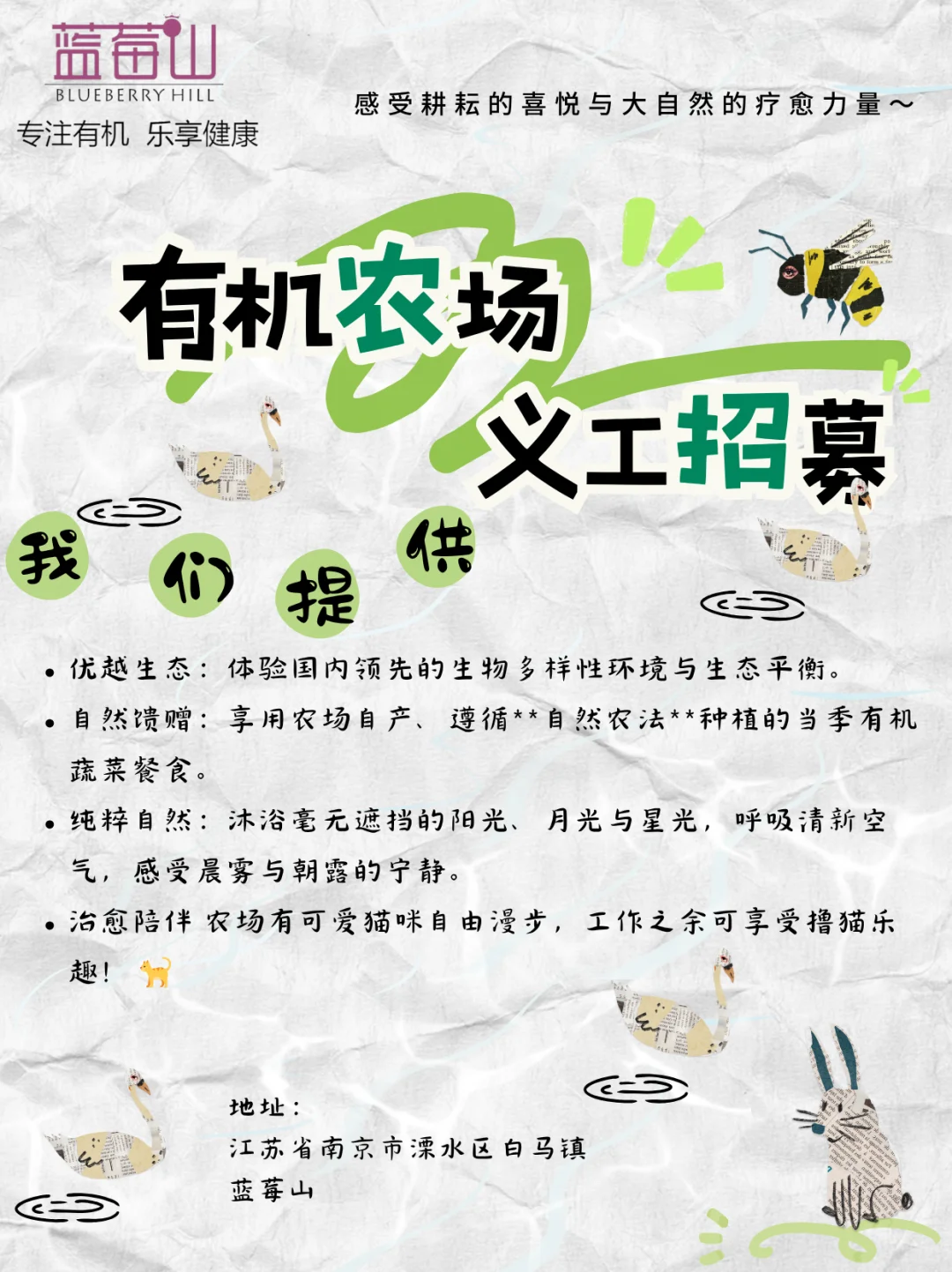 有机农场义工招募 | 共度田园时光