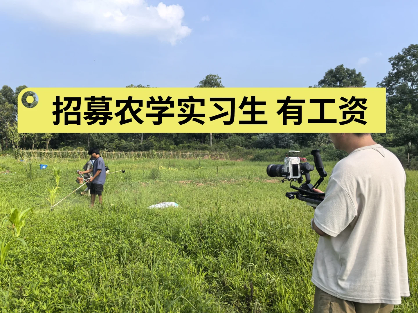 招募10名农学实习生