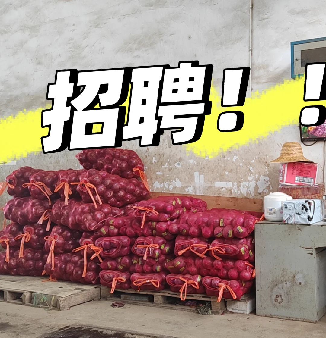 招聘搬运工