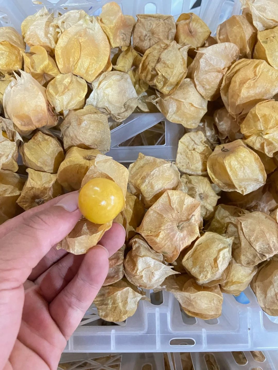 农业硕士毕业一年——回顾自己投递的行业