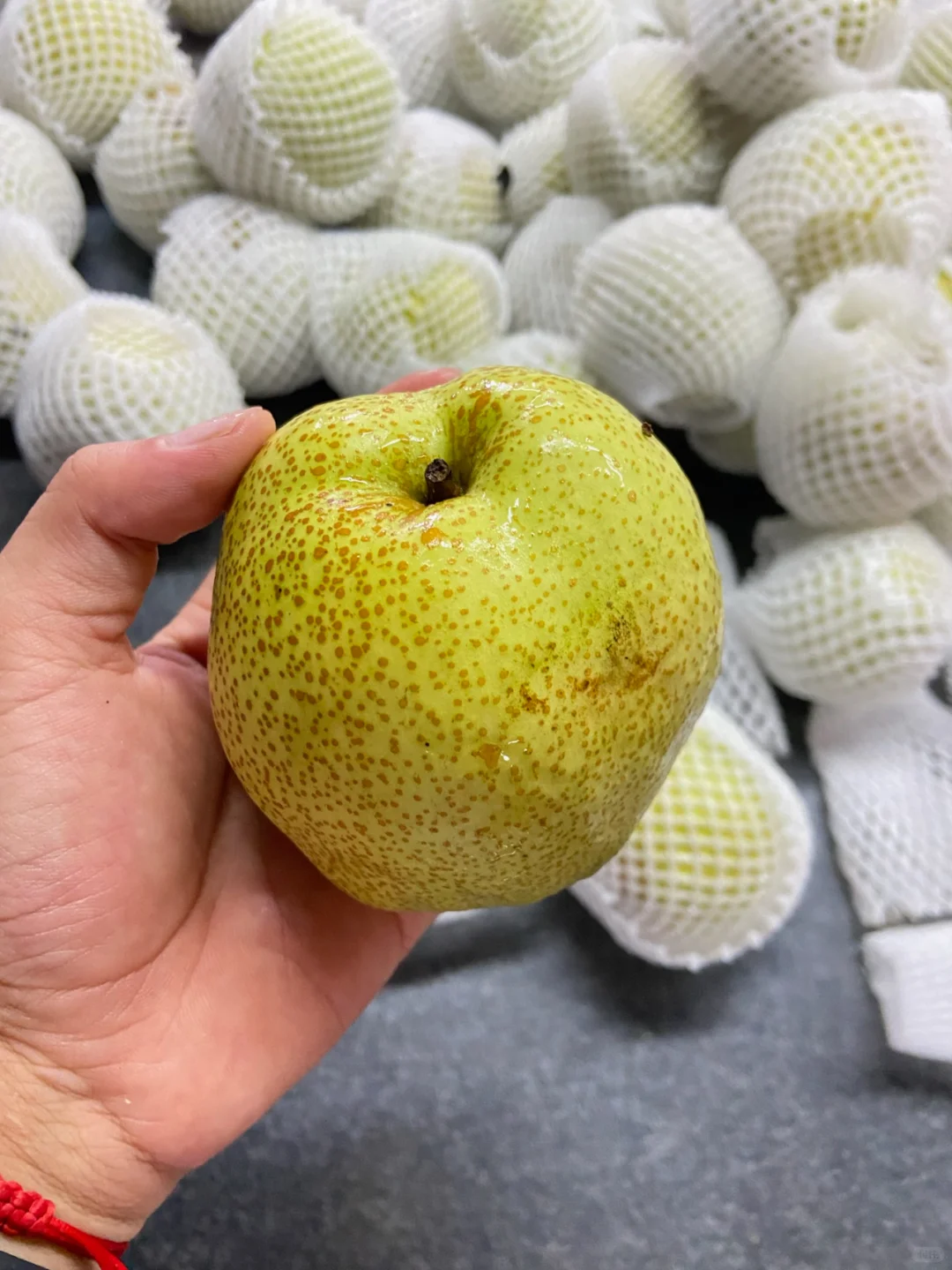 农业硕士毕业一年——回顾自己投递的行业