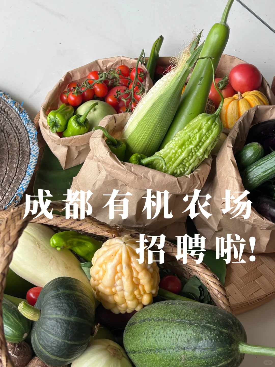 寻找热爱土地的你，一起在山水间劳作 成长