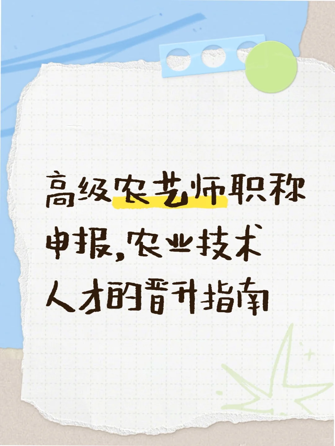 高级农艺师职称申报,农业技术人才的晋升指