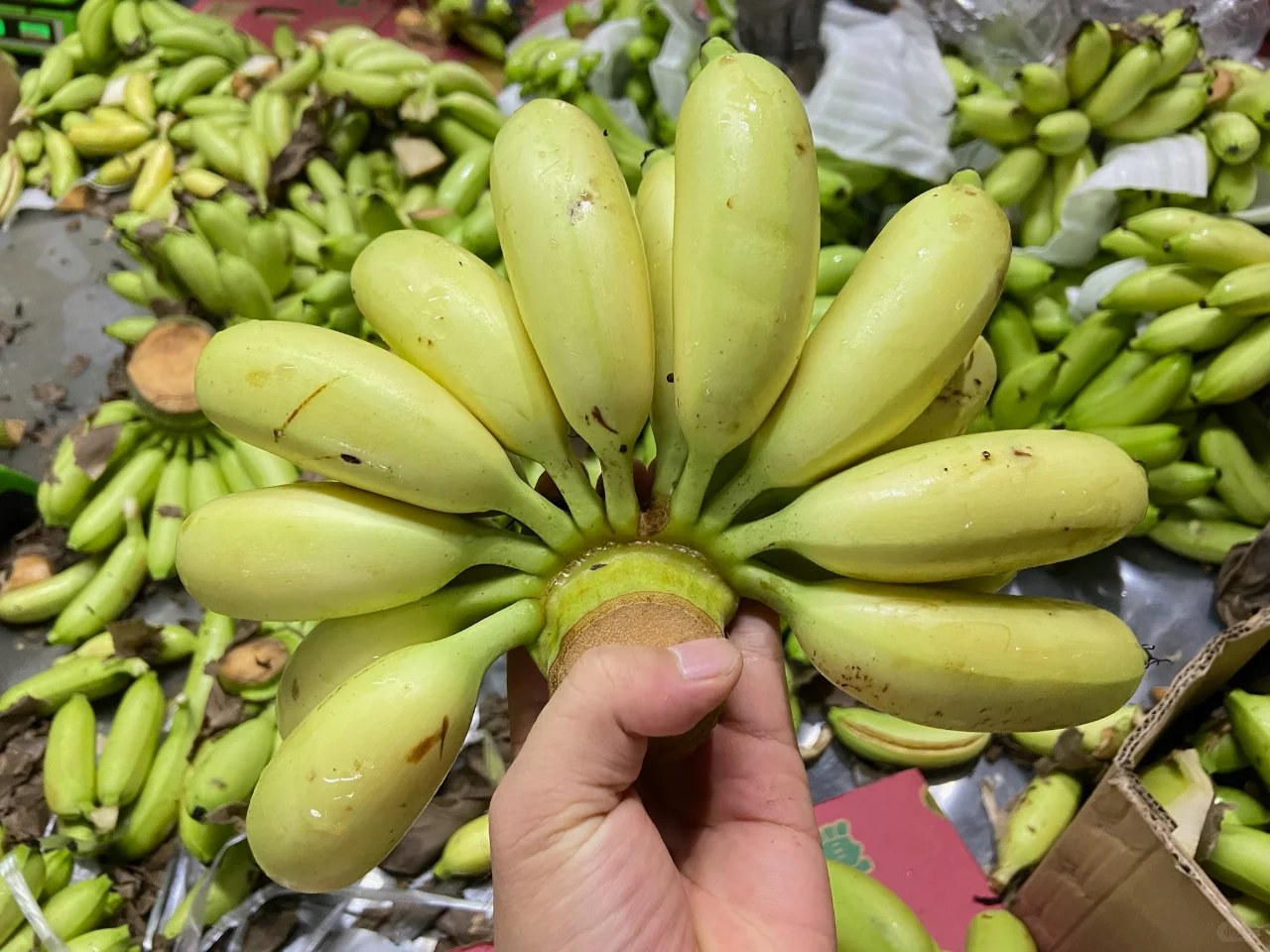 农业硕士毕业一年——回顾自己投递的行业