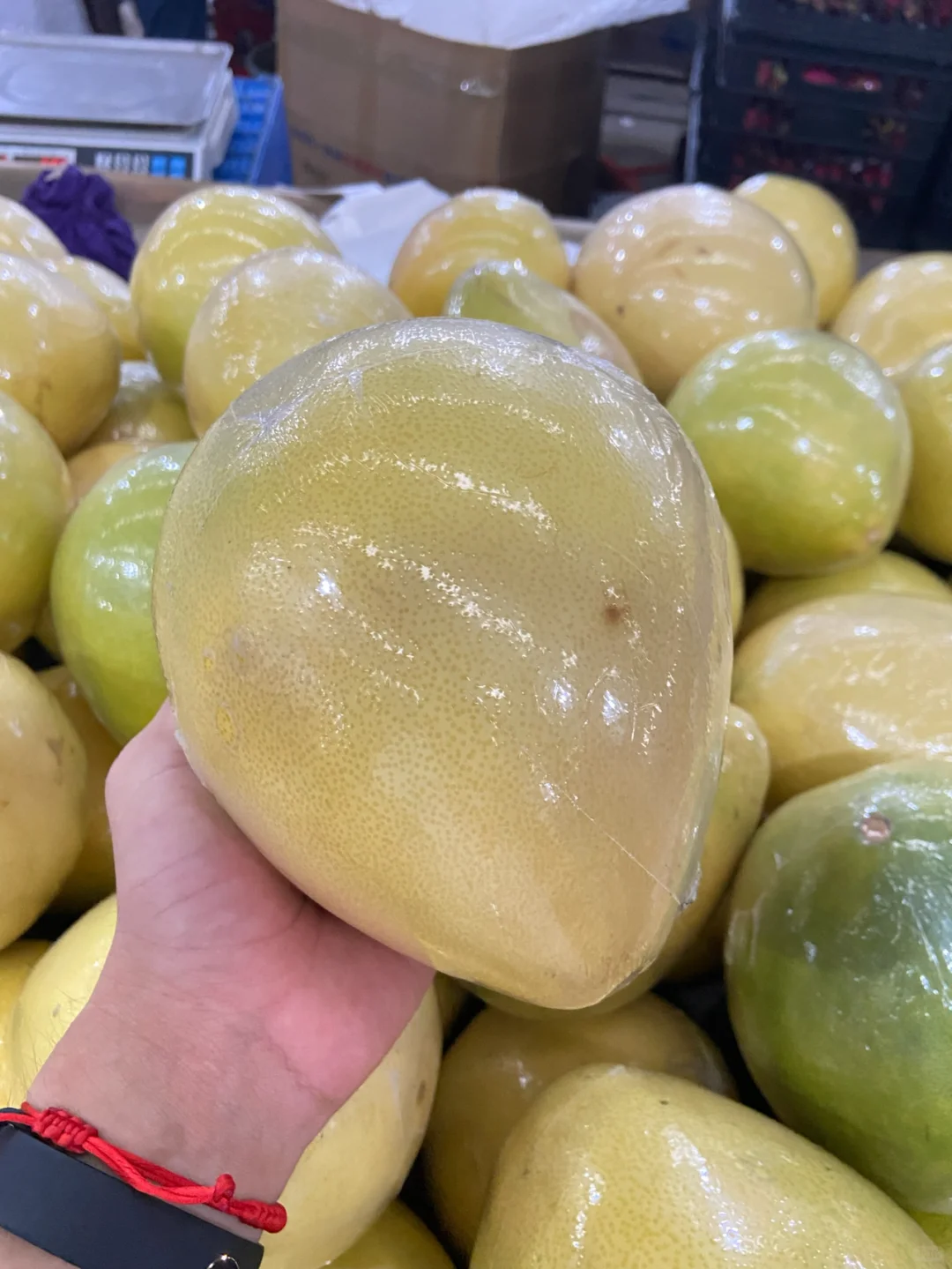 农业硕士毕业一年——回顾自己投递的行业