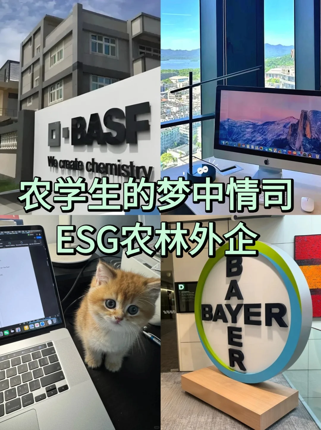 农学生的梦中情司——ESG农林外企