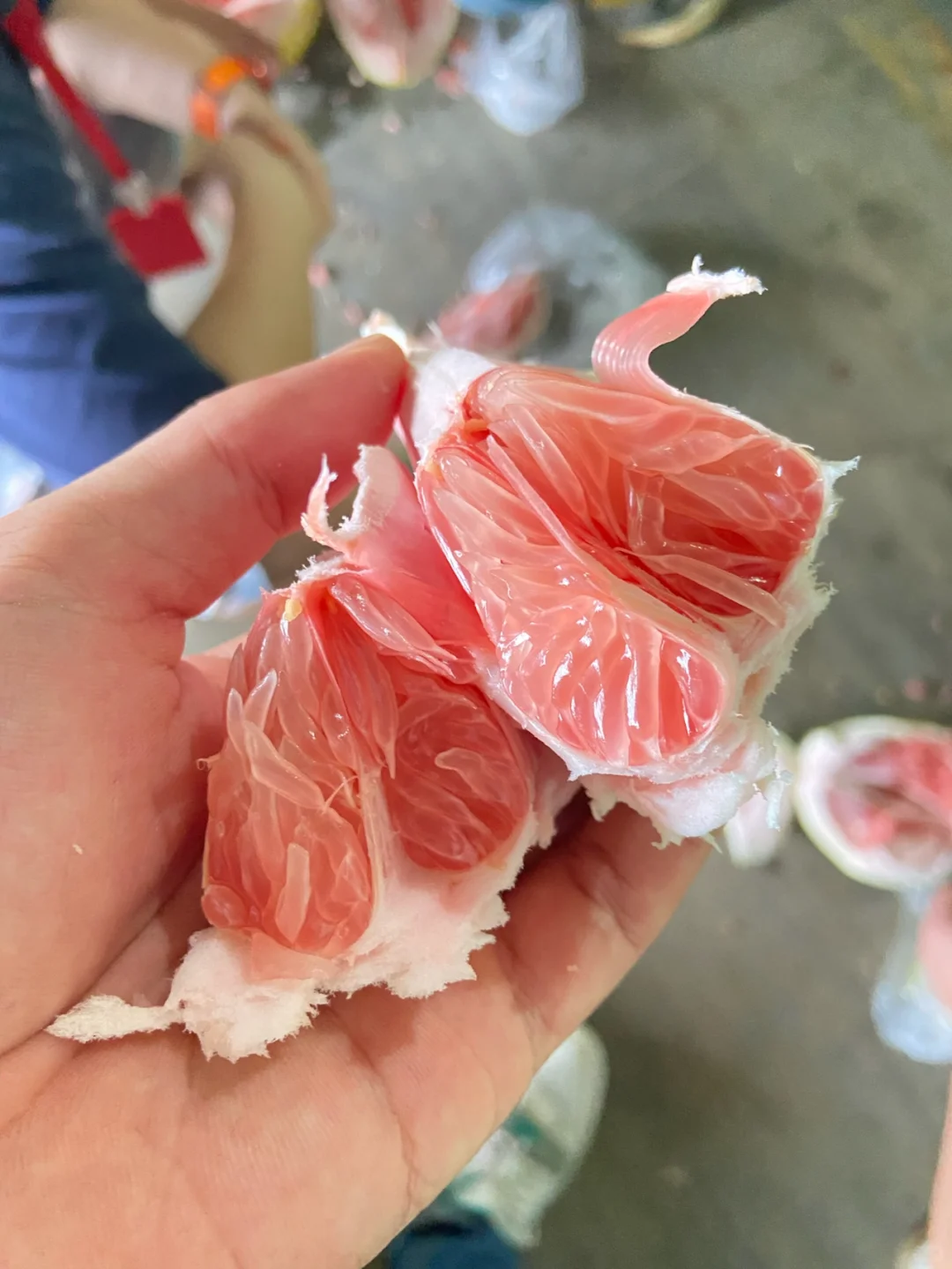 农业硕士毕业一年——回顾自己投递的行业