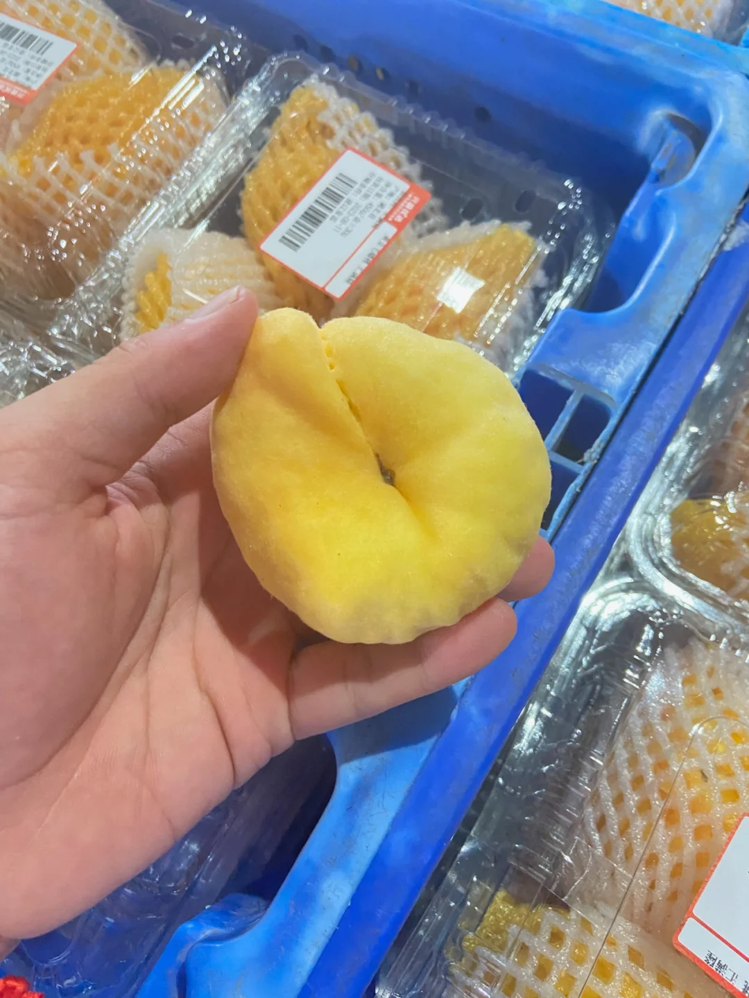 农业硕士毕业一年——回顾自己投递的行业