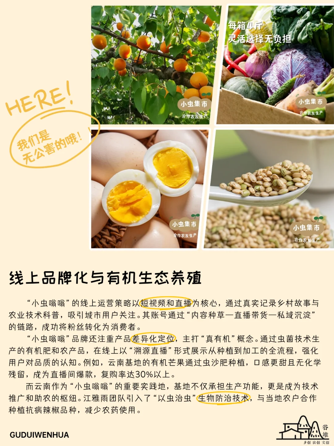 “他们都叫我小江”第二人生：有机种植的坚持