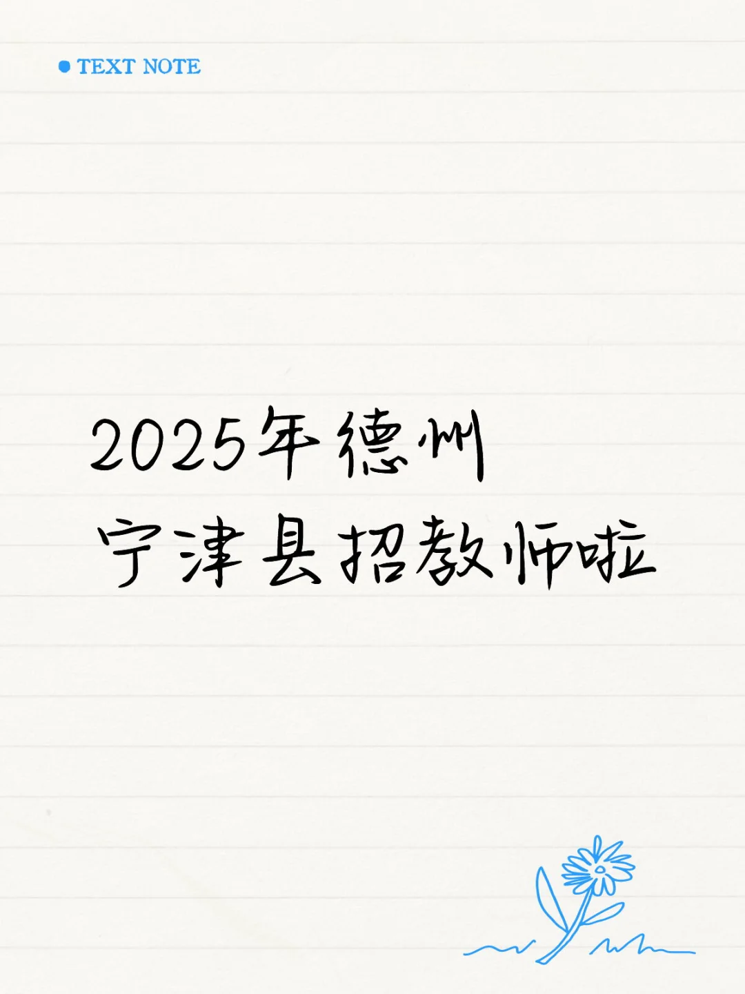 2025年德州宁津县招教师啦