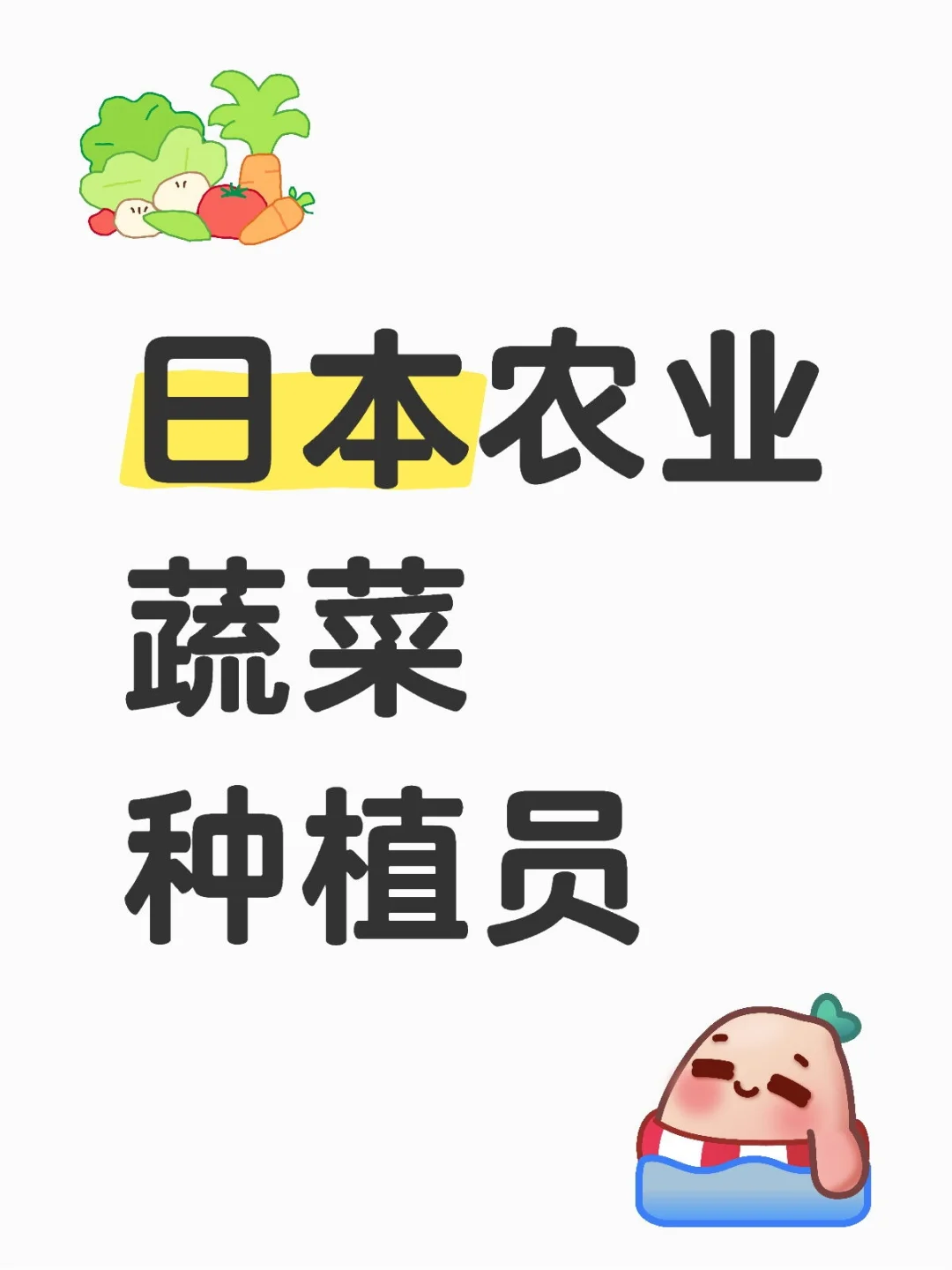 日本农业蔬菜种植员
