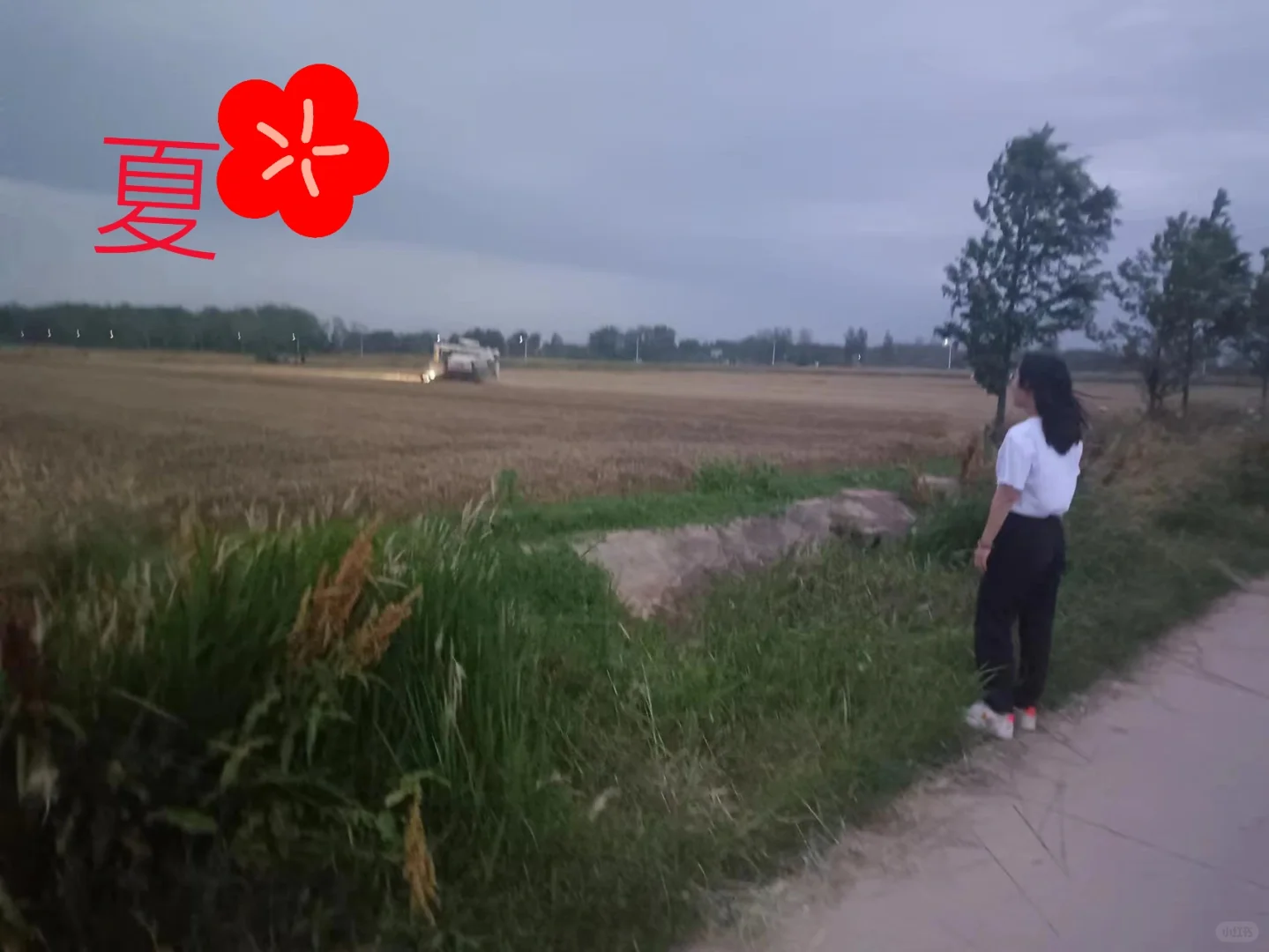 基层农技人员的这一年
