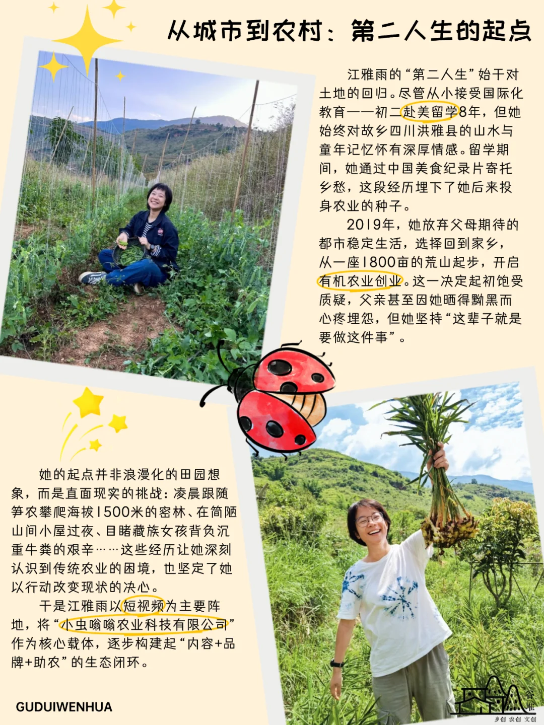 “他们都叫我小江”第二人生：有机种植的坚持
