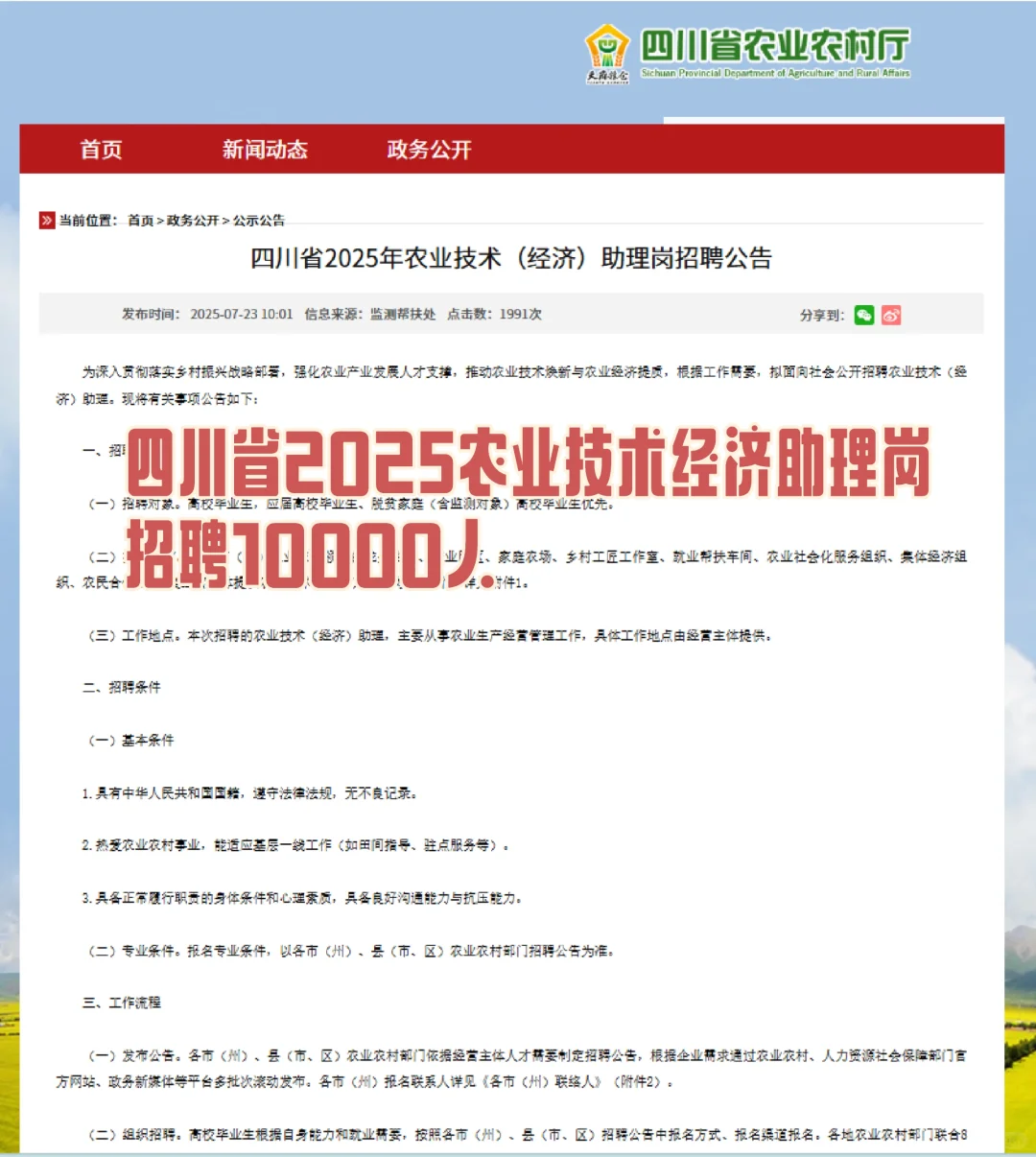 大招,四川农业技术经济助理岗招1万人!
