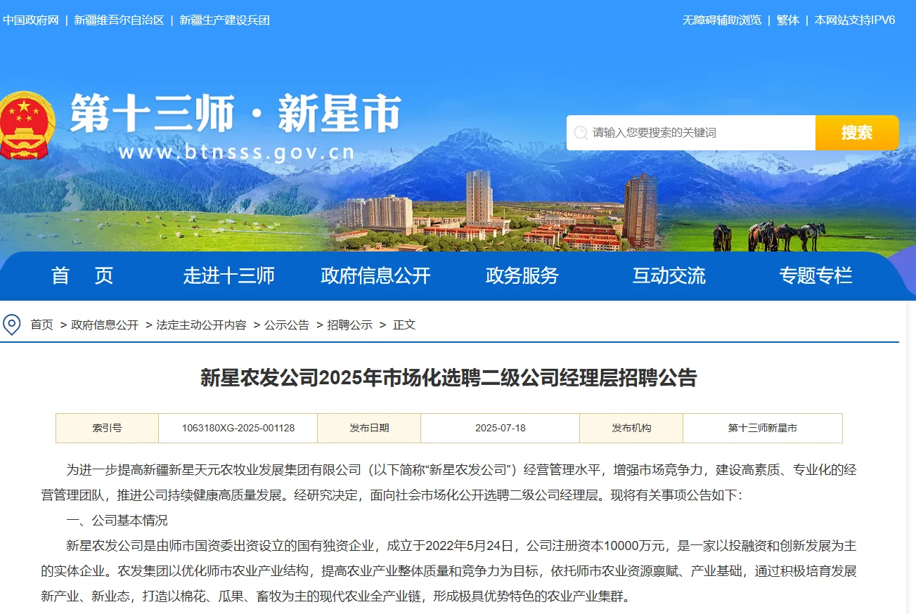 新星农发公司2025年市场化选聘