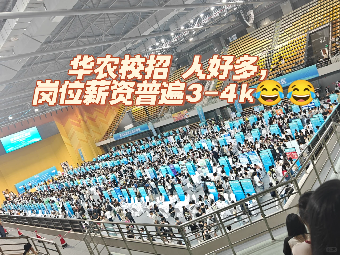 华农校招参加了，动科破防了