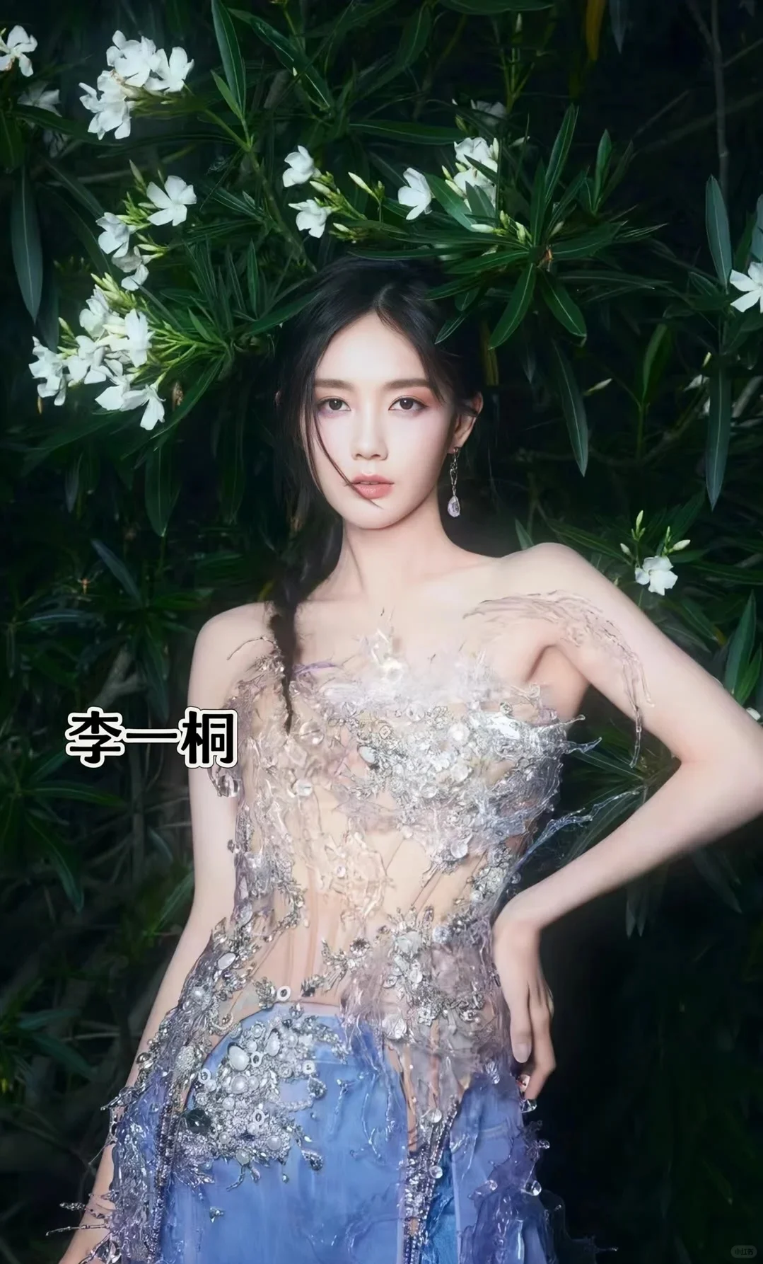 女神美人鱼造型???
