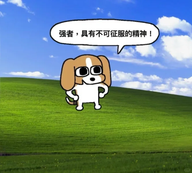 校招生landing/工作越来越顺的邪修tips