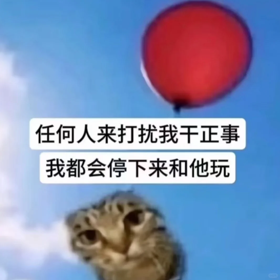 实习生宝宝们已经周二了,实习倒计时39天