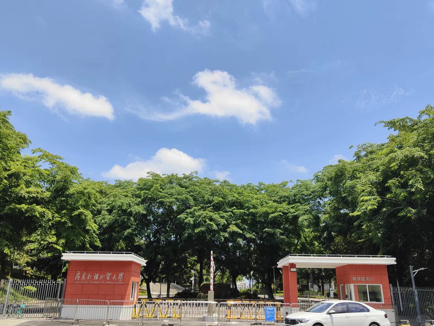 六中社招,生物岗,全网最全答案