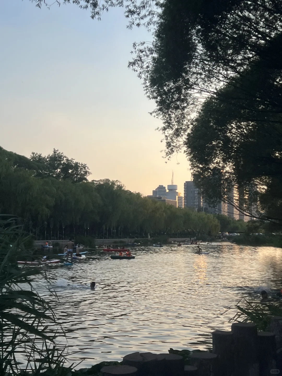 国关超nice实习招继任:中国欧盟商会