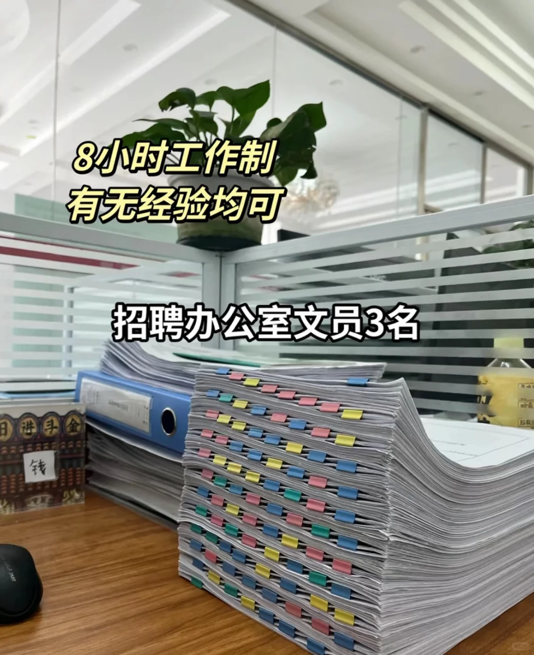 文员原来有这么多类型