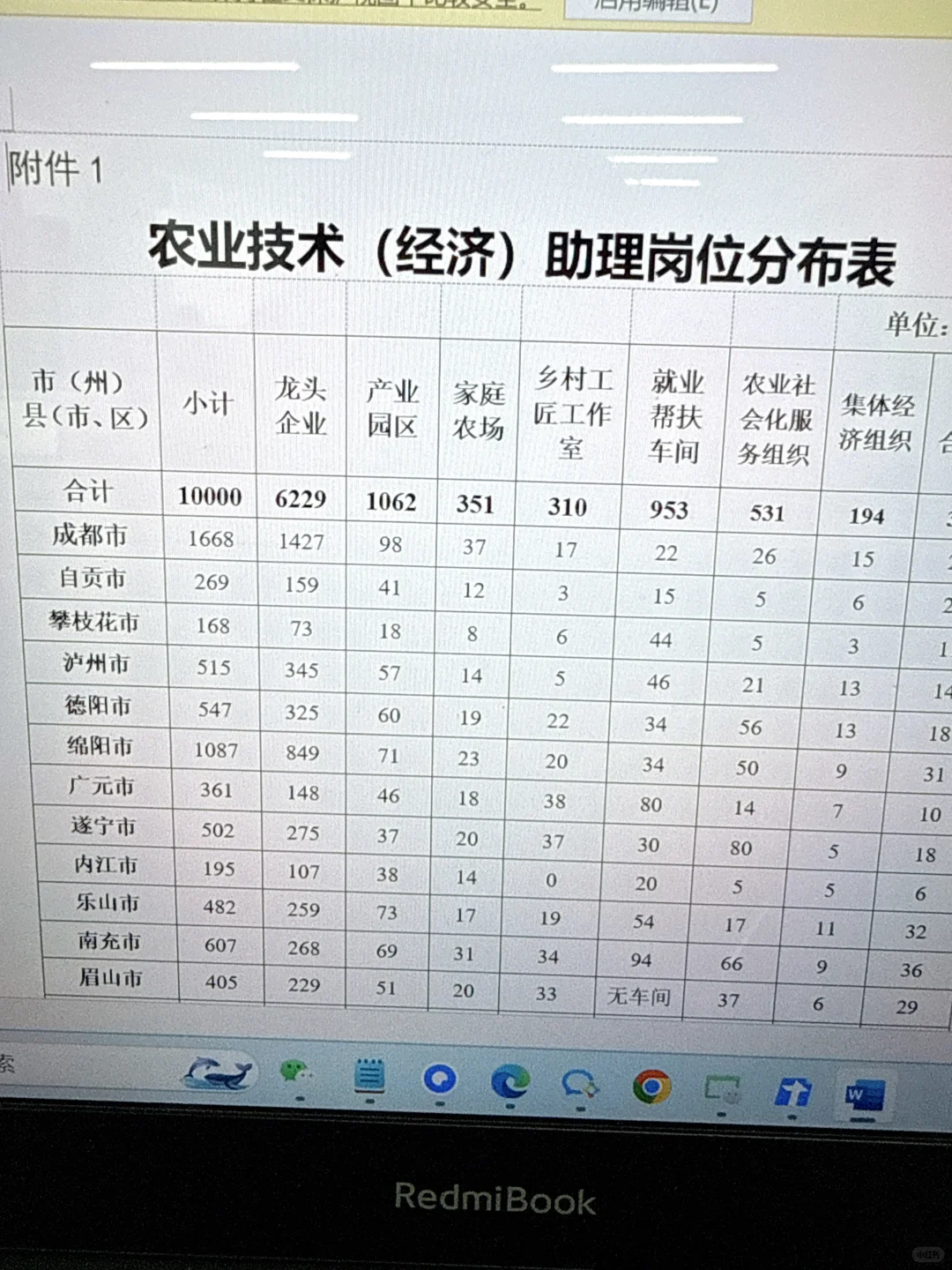 把我推给正在找工作的刚毕业大学生