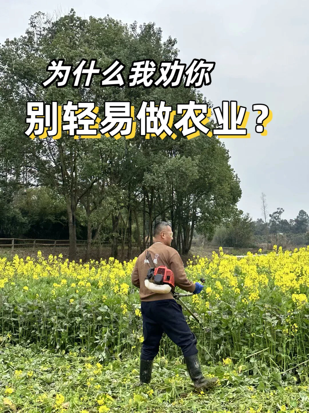 为什么我劝你别轻易做农业?