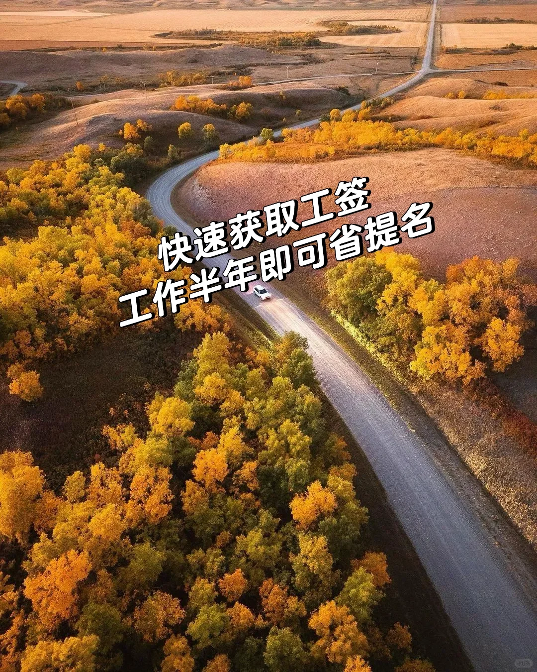 萨省农业人才通道:SINP移民新途径!