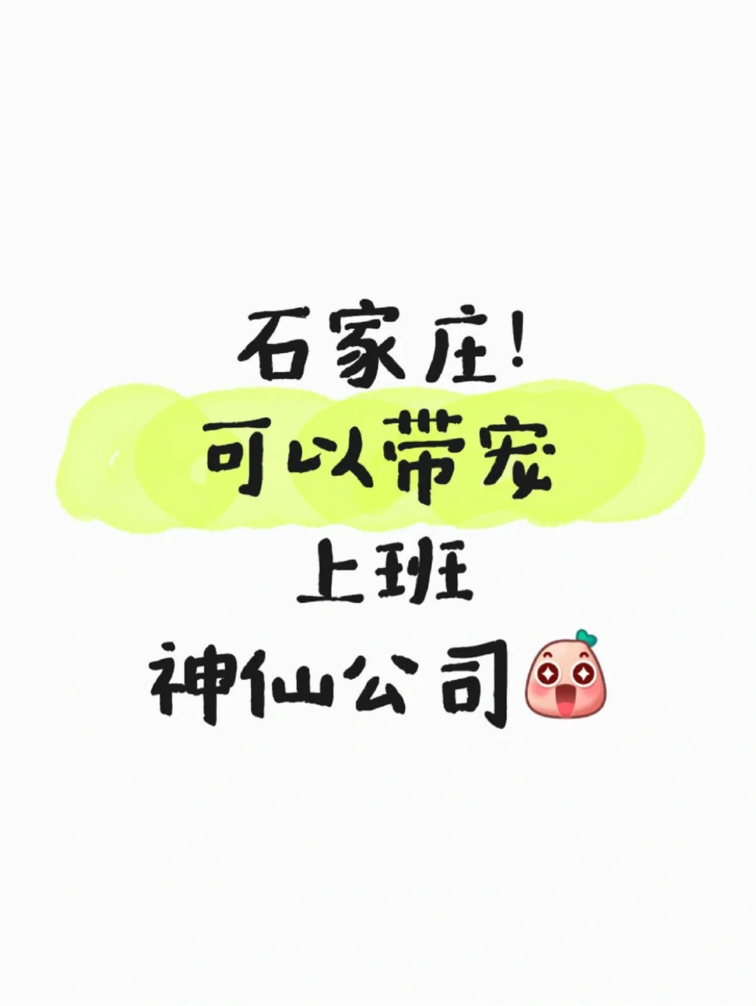 太好啦，石家庄也有可以带宠物上班的工作啦