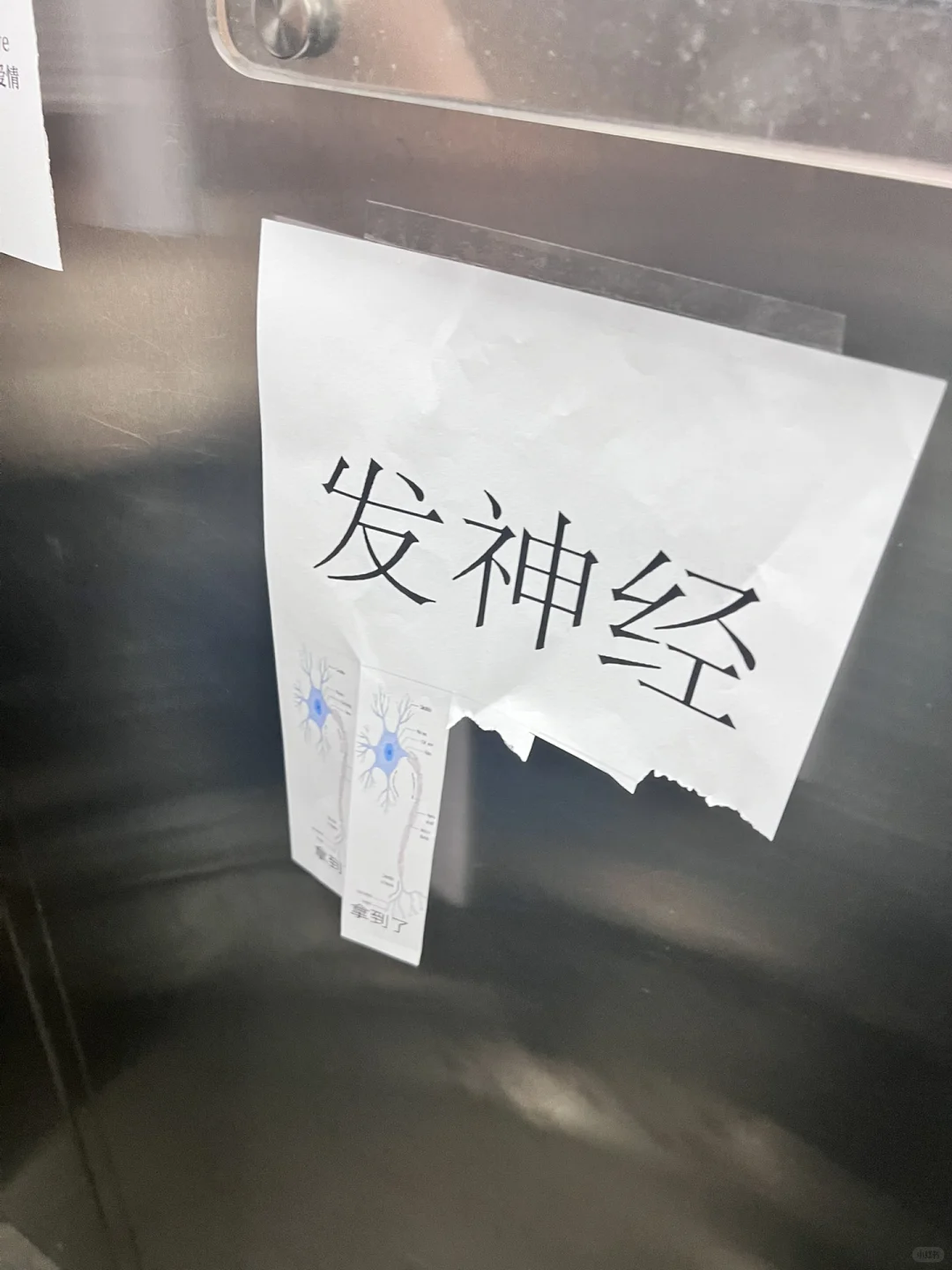 成都百词斩实习两个月感受