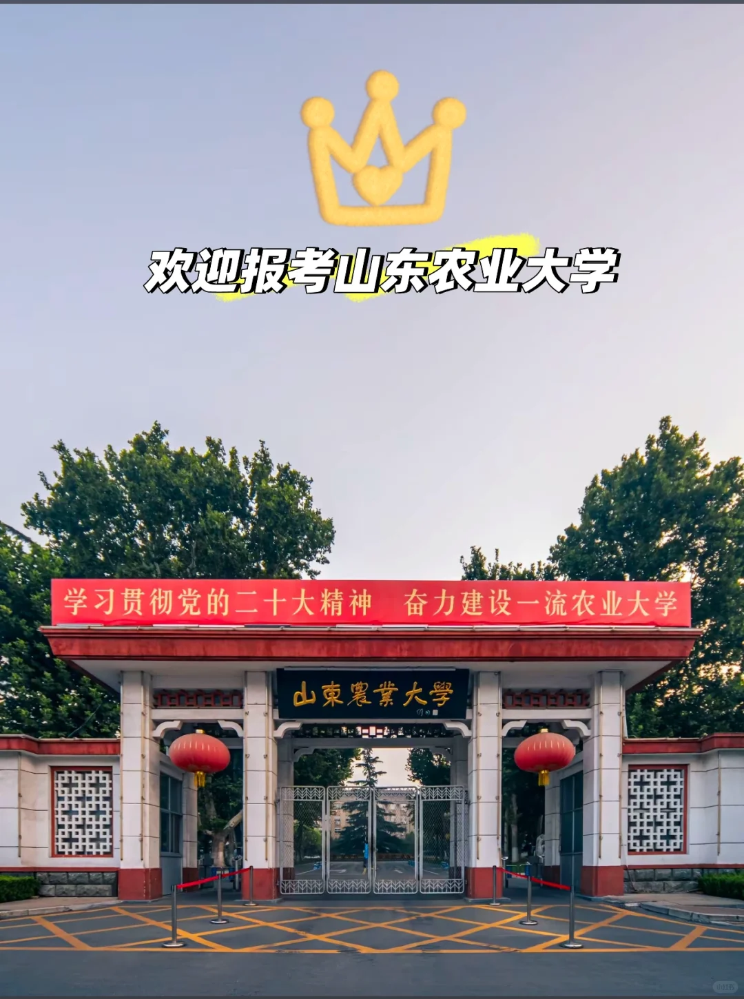 欢迎大家报考山东农业大学！