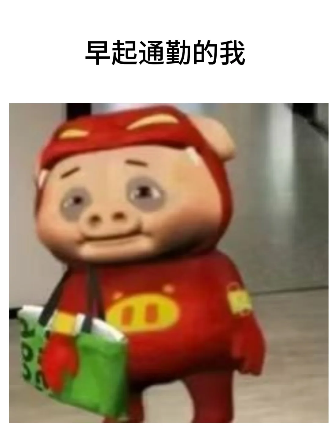 实习的我