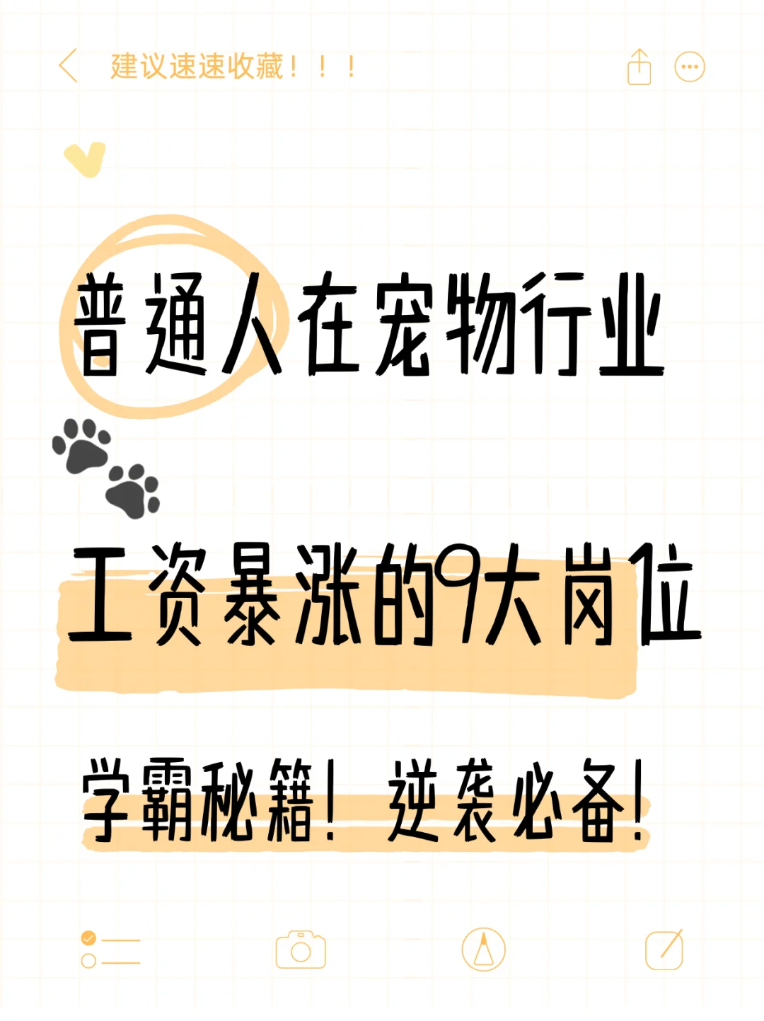 普通人在宠物行业，工资?涨的9大岗位！