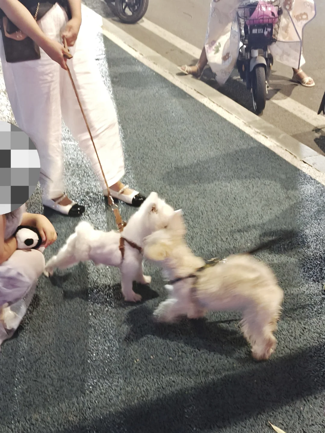 25届应届生毕业在家找不到工作的第26天……