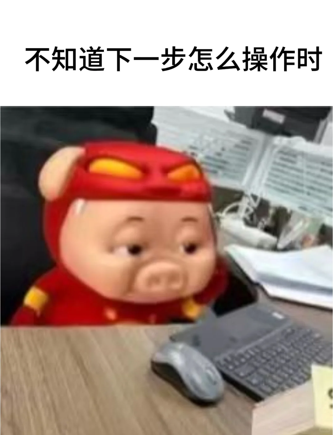 实习的我