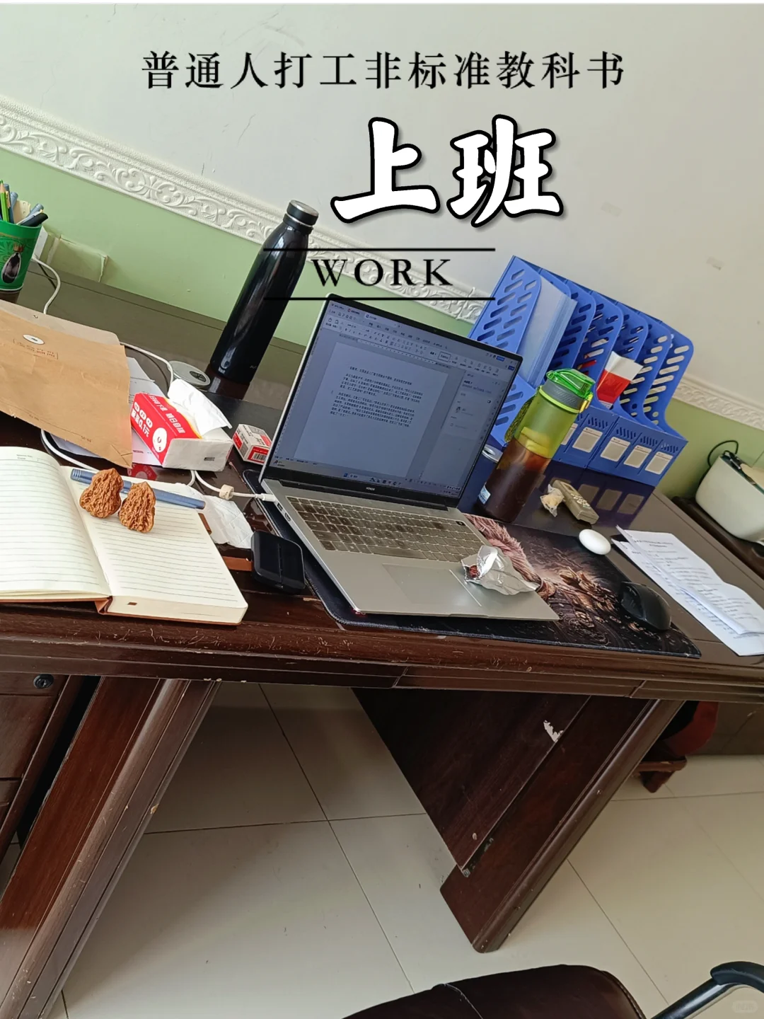 保定市大学生农业职业经理人