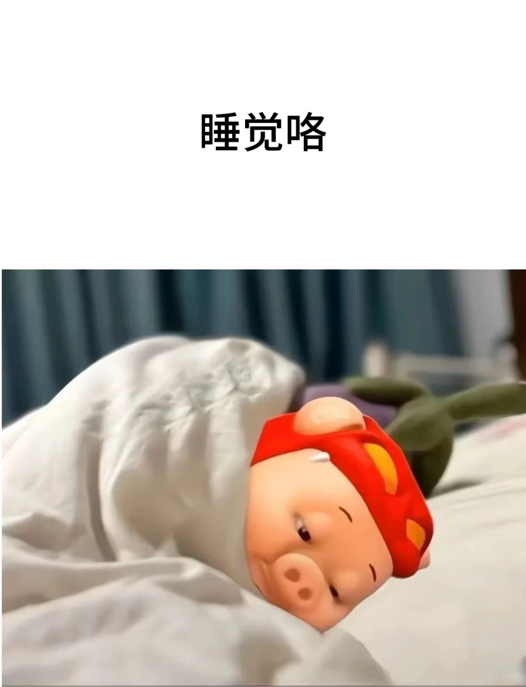 实习的我