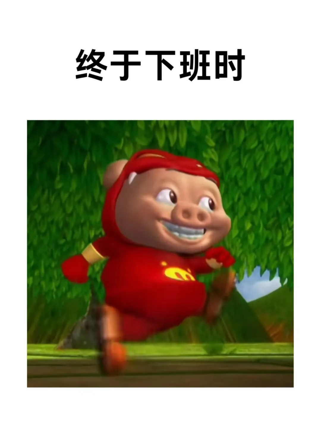 实习的我
