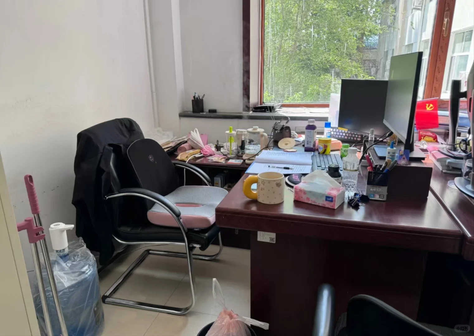一个普通女生考上浙江事业编的真实感受