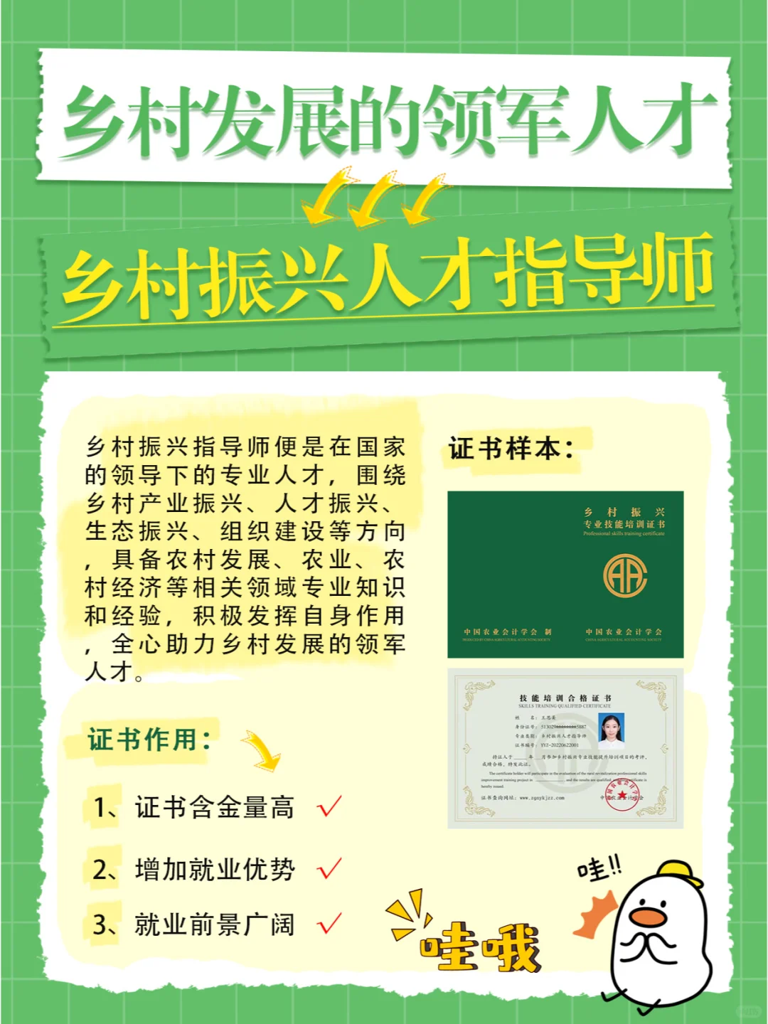 乡村发展的领军人才——乡村振兴人才指导师