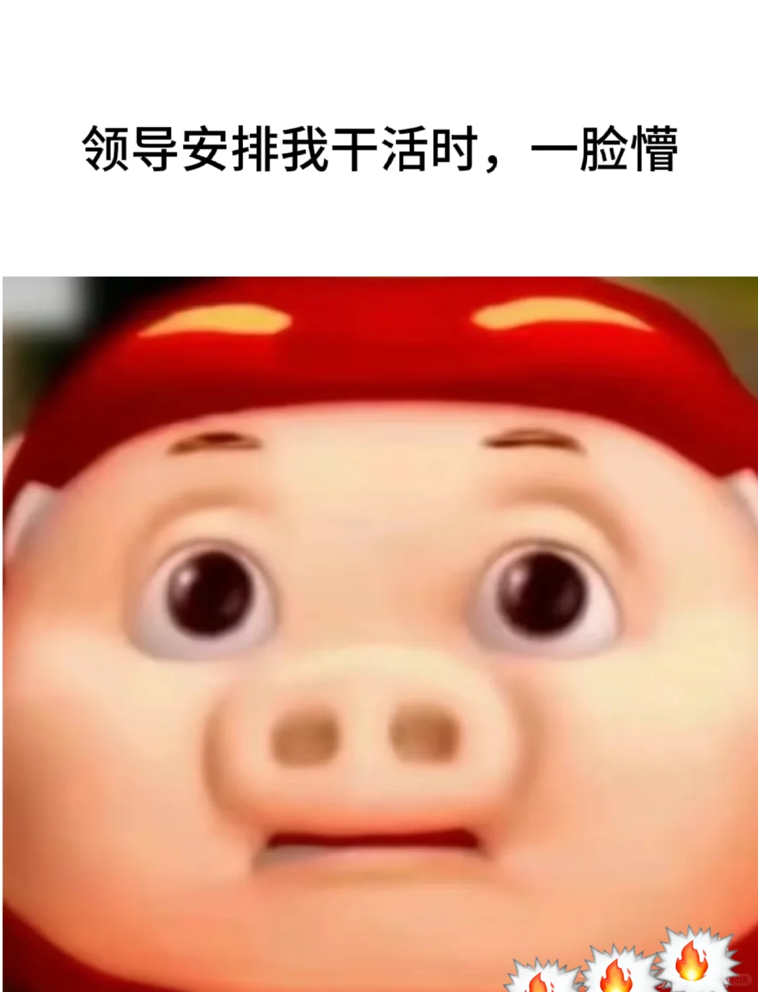 实习的我