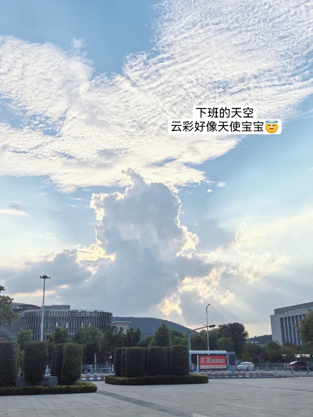 应届生上班第17天?｜玉兰永不凋落?