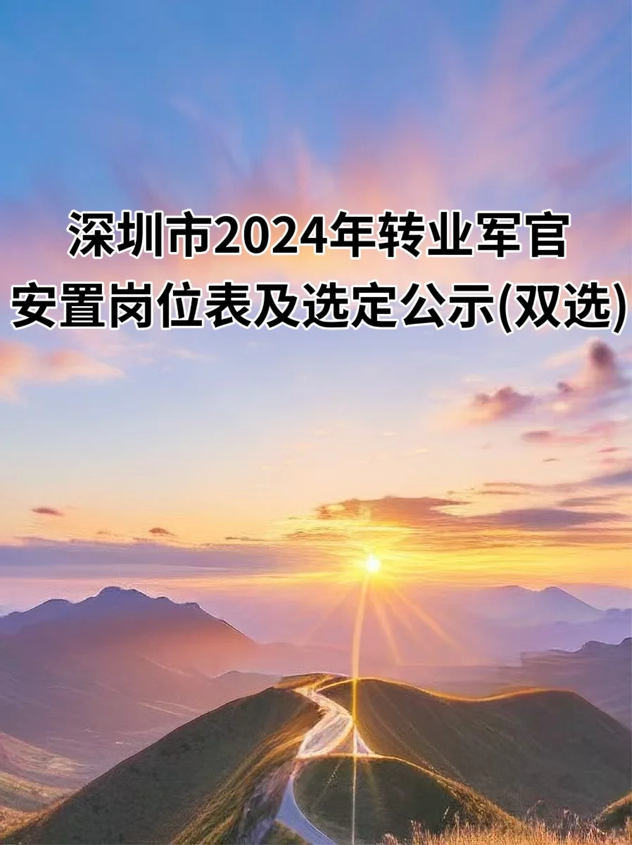 2024年深圳市转业军官安置岗位表(双选)